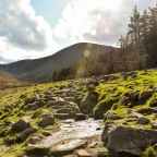 Working Hard and the Kingdom of God