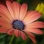 God has the perfect plan