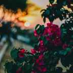 Do not fear God is near